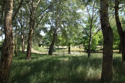 Le parc de la Jaudette avec de nombreux arbres et son étang